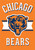 Briarwood Lane Chicago Bears licensed NFL garden flag with orange, white, and blue colors.