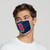Boston Red Sox Solid Big Logo Face Mask