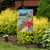 Briarwood Lane spring garden flag with colorful springtime scene on small, printed, decorative yard display.