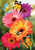 Briarwood Lane Garden Gerber Daisies spring house flag with colorful butterflies and flowers display.