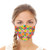 Gerber Daisies Reusable Cloth Face Mask