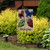 Briarwood Lane Butterfly Welcome Spring Burlap Garden Flag with colorful butterflies and welcome text displayed outdoors.