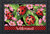Briarwood Lane Ladybugs on Leaves Spring Doormat with colorful, cheery ladybugs and flowers design.