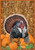 Wild Turkey Fall House Flag