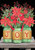 Briarwood Lane Christmas garden flag with poinsettias, cardinals, and flowers on green mason jars spelling joy.