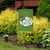 Luck Of The Irish St. Patrick's Day Garden Flag