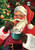 Cookies For Santa Christmas Garden Flag