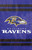 Baltimore Ravens Applique Embroidered Banner Flag NFL