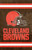 Cleveland Browns Applique Banner