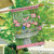 Dogwood Birdbath Welcome Spring House Flag