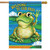 Friendly Frog Summer House Flag