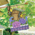 Finch Feeder Welcome Spring House Flag