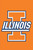 University of Illinois Fighting Illini Applique NCAA Garden Flag