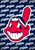 Cleveland Indians Greeting Card Garden Flag