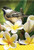 Blossoming Chickadee Spring Garden Flag