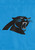 Carolina Panthers NFL Garden Flag