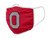 Ohio State Buckeyes Solid Big Logo Face Mask