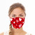 Hearts Reusable Cloth Face Mask