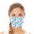 Nature Designs Reusable Cloth Face Mask Gift Set (4-piece Collection)