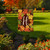 Briarwood Lane Fall Leaves Monogram Letter H garden flag with colorful foliage on a small yard display.