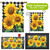 Checkered Sunflowers Summer Design Collection