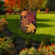 Fallen Leaves Applique Autumn Garden Flag