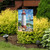 Briarwood Lane coastal lighthouse garden flag on a lawn with vibrant plants and sunny shore scenery.