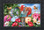 Briarwood Lane Birds And Mailbox Spring Doormat, colorful, printed decorative mat for porch or backyard display.