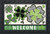 Briarwood Lane Patterned Shamrocks Welcome Doormat with checkered and polka dots design in green and gold.