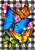 Briarwood Lane Checkered Butterflies Spring Garden Flag with colorful butterflies and pink flowers on plaid background.