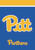 Briarwood Lane University Of Pittsburgh NCAA Licensed Garden Flag with Pitt Panthers logo, colorful decorative banner.