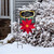 Merry Christmas Poinsettia Burlap Garden Flag