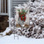 Briarwood Lane Christmas Stocking Garden Flag with black and white checkered pattern and red bow.