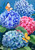 Briarwood Lane Colorful Hydrangeas House Flag with blue and pink flowers and butterflies design.