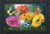 Briarwood Lane Butterflies and Daisies colorful doormat with vibrant flowers and butterflies design.