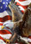 Briarwood Lane American Freedom Eagle House Flag with patriotic eagle and American flag design.