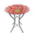 Briarwood Lane Red Daisy Glass Birdbath with black metal stand and vibrant yellow center details.
