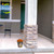 Small ceramic planter on porch with orange flowers, ceramic gnome inside, on stone and concrete floor.