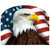 American Eagle Patriotic Acrylic Art Sign with eagle and American flag design, brown, white, yellow colors.