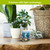 Seaside Escape Flameless Candle on wooden table with plants, featuring LED light technology.