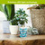 Welcome Anchor blue flameless candle with nautical design on wooden table surrounded by plants.
