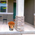 Elegant Pumpkins medium planter with orange flowers on a front porch next to a pillar outdoors.