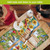 Country Birds Placemat set of 4 colorful bird sunflowers designs on table with people.