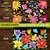 Spring Fling Placemat, colorful floral designs on black background, double-sided, 4-pack, Briarwood Lane.