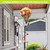 Sunset Parrot Hot Air Balloon Spinner outdoor decoration with colorful parrot and rainbow tail.