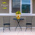 Black metal chairs and table with Sunflower Duo Medium Planter on a patio outside a house.