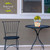 Briarwood Lane Bless This Home With Love small planter with yellow flowers on a black table.