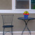 Small Star Spangled Planter with yellow flowers on a black metal table and chair setting.