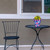 Small pink and blue tropical planter on a black metal table next to a chair outdoors.