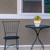 Small black metal table and chair with Wildflowers Small Planter on top with yellow flowers.